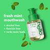 imageHello Clean Mint Mouthwash Concentrate for Bad Breath Alcohol Free Travel Size Mouthwash Made with Coconut Oil and Tea Tree Oil Helps Freshen Breath 2 Pack 325 fl Oz Pump BottlesFresh Mint