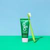 imagehello Blue ampamp Green Soft Toothbrush BPAFree Made from PlantBased Materials 2 Count Pack of 2