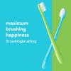 imagehello Blue ampamp Green Soft Toothbrush BPAFree Made from PlantBased Materials 2 Count Pack of 2