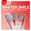 image:imagehello Activated Charcoal Epic Whitening Fluoride Free Toothpaste Fresh Mint amp Colgate 360 Optic White Advanced Toothbrush Medium Toothbrush for Adults2 Count Pack of 1